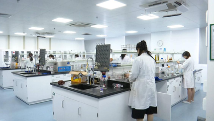 江蘇海門(mén) 做強(qiáng)科技服務(wù)業(yè)，為穩(wěn)增長(zhǎng)添韌勁——聚焦技術(shù)推廣服務(wù)的新路徑